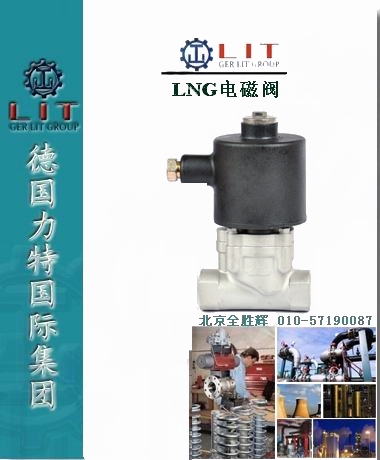 进口LNG电磁阀