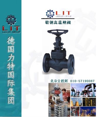 进口锻钢高温闸阀