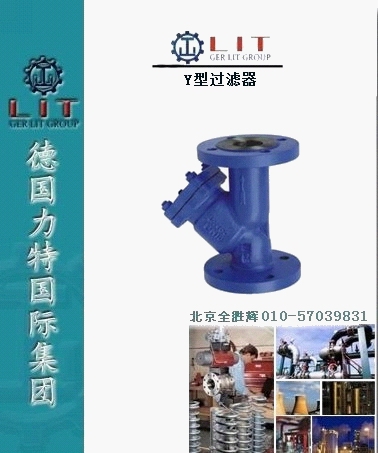进口Y型过滤器1